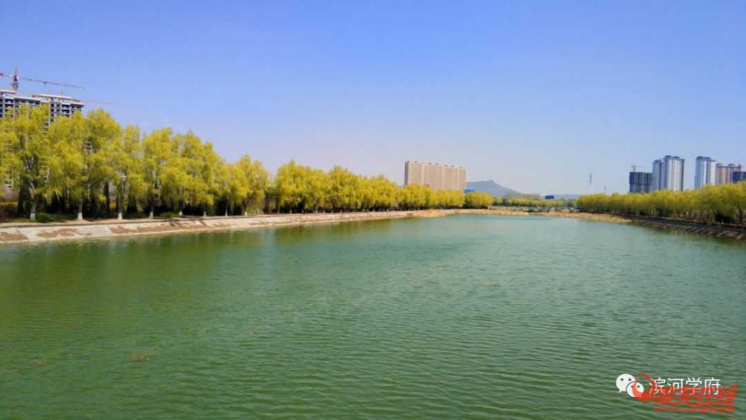  重磅利好——孝义河生态景观长廊工程开工建设(图3)