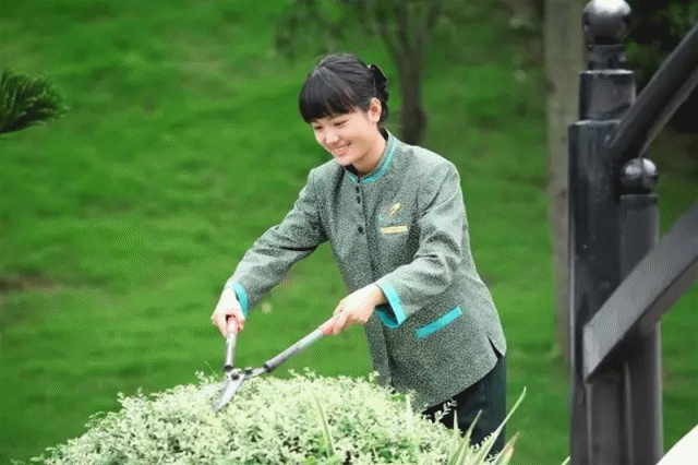 2-200522152P2529.gif