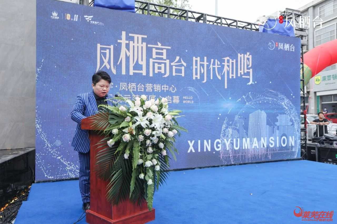  兴宇·凤栖台艺术级营销中心倾城绽放，惊艳莱芜！(图15)