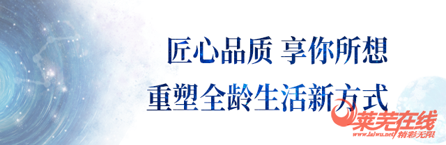  兴宇·凤栖台艺术级营销中心倾城绽放，惊艳莱芜！(图20)