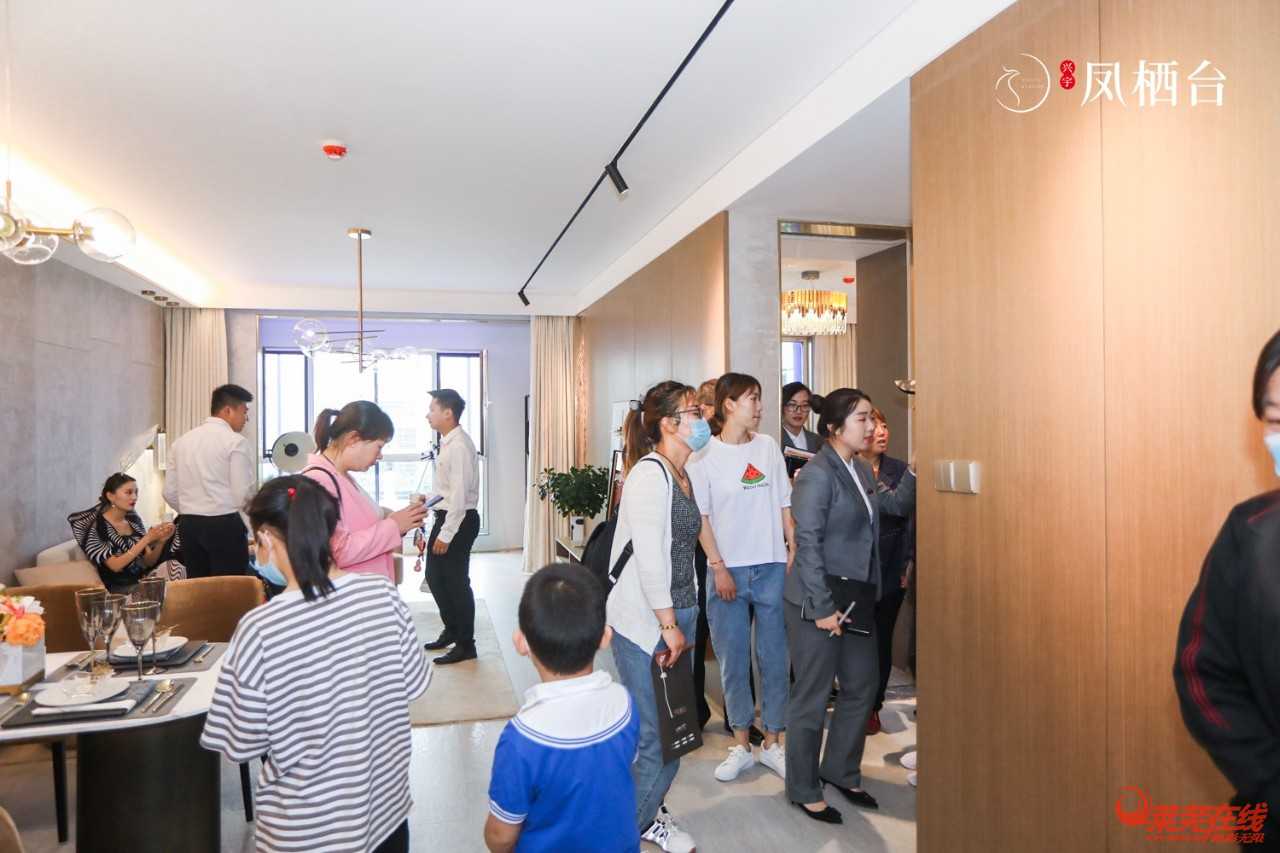  兴宇·凤栖台艺术级营销中心倾城绽放，惊艳莱芜！(图27)