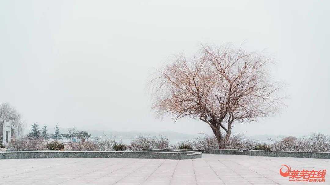 全城记 | 在千年莱芜的“起承转合”间，倾听一首蓝色奏鸣曲(图5)