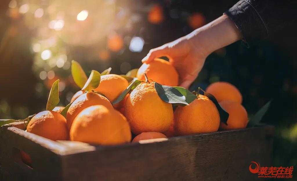 蓝光悦府|橙心橙意 美好启橙(图2)