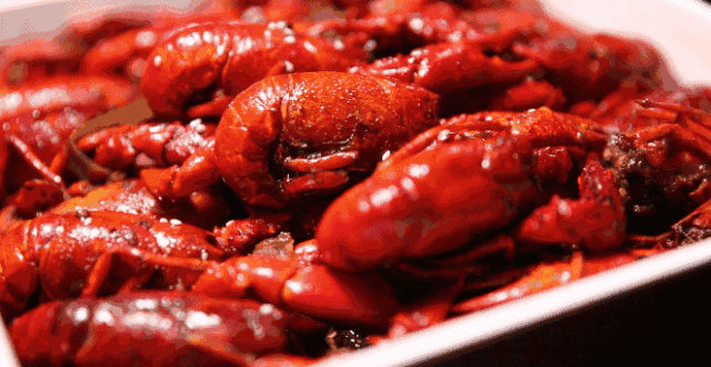 十天十夜全免单！2020莱芜福泽家园啤酒龙虾电音Party8月28日盛大开幕，带上手机免... (图31)