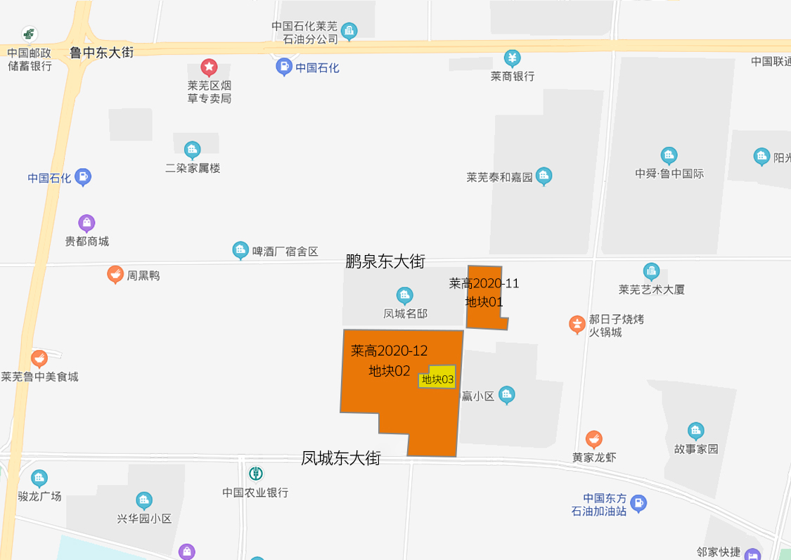 4亿！莱芜高新区十月份第一波土拍圆满落幕！稀缺资源花落谁家？(图6)