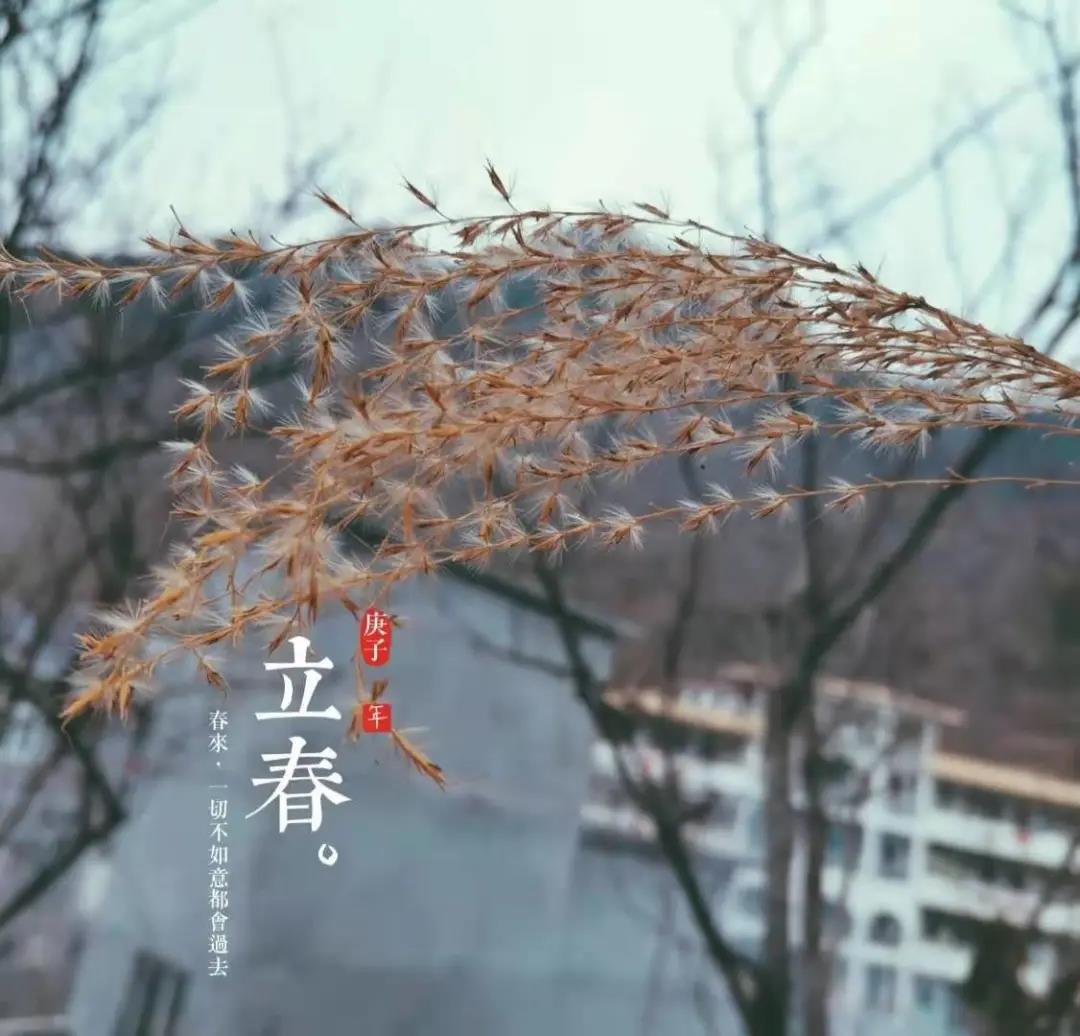 【香山名郡】立春|春之伊始，万物复苏(图2)