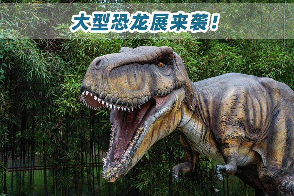 中洋·悦澜府|@莱芜人！侏罗纪入侵！恐龙展震撼来袭！(图2)
