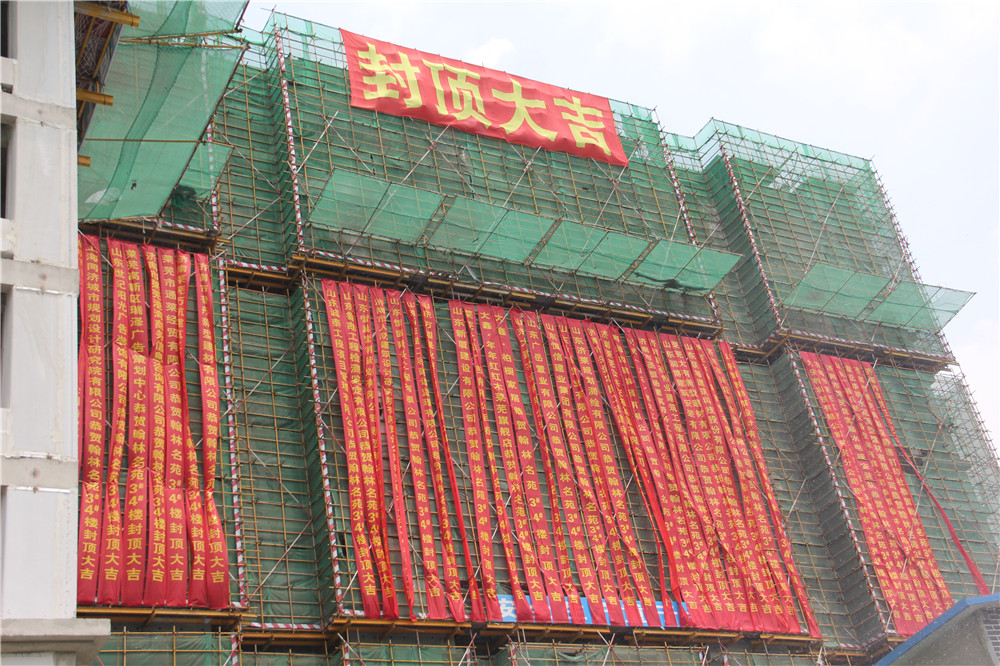 封顶大吉丨匠心锻造精品，翰林名苑荣耀封顶(图2)