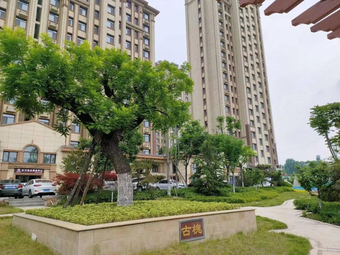 广厦·响水丽景丨买房，只有住进去才是真的到手！(图3)