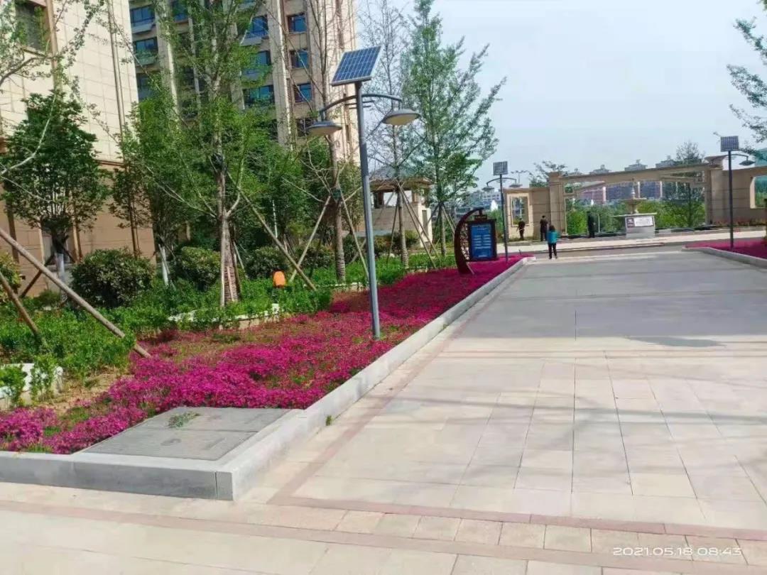 广厦·响水丽景丨会“呼吸”的生态人文社区(图6)