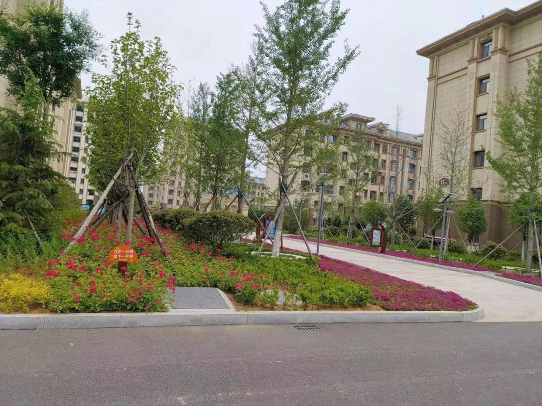 广厦·响水丽景丨会“呼吸”的生态人文社区(图7)