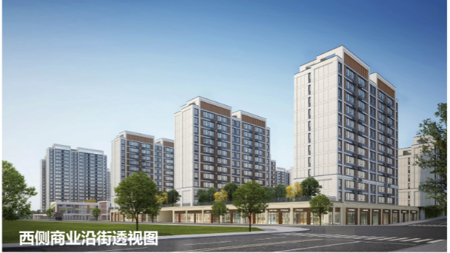 共1606户！钢城区新项目【滨河天境】规划批前公示！(图5)