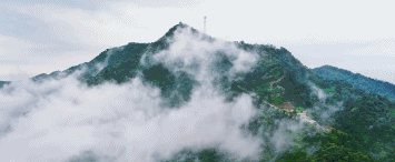 蓝城·鳯起玉鳴(图7)