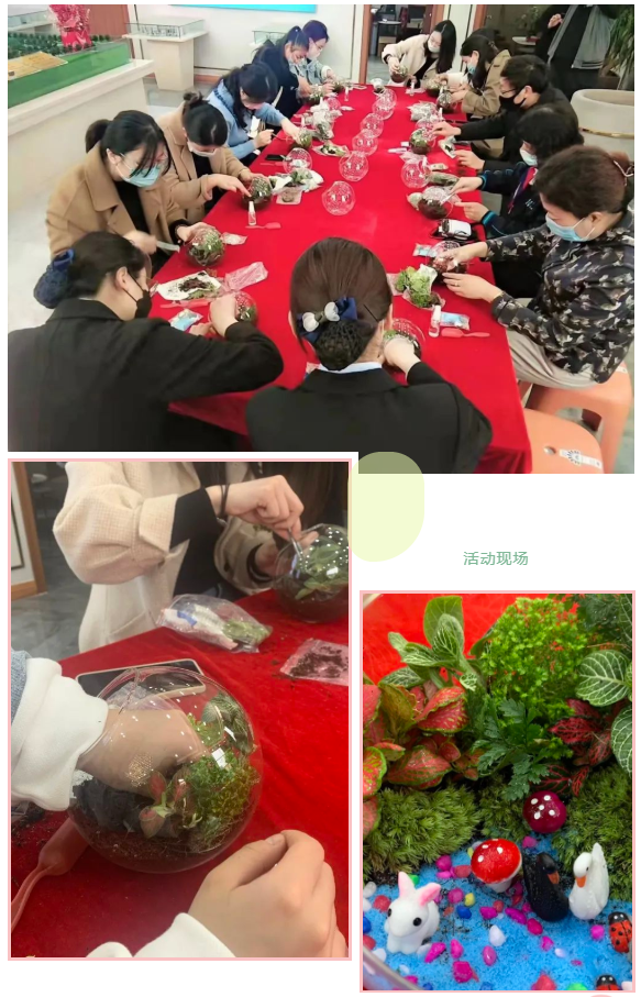 亿嘉·香山名郡“微景观”DIY丨抓一抹绿色,把春天带回家(图1)