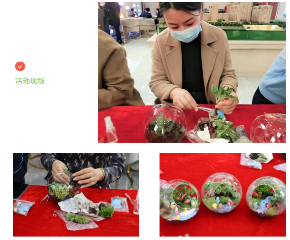 亿嘉·香山名郡“微景观”DIY丨抓一抹绿色,把春天带回家(图3)