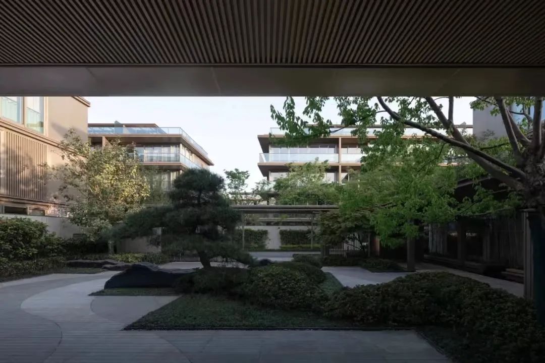 蓝城·鳯起玉鳴|风靡杭州的“现象级”Trees Villa城市叠墅,即将首映莱芜(图5)