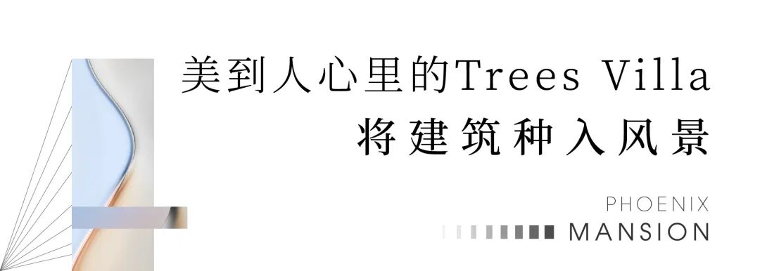 蓝城·鳯起玉鳴|风靡杭州的“现象级”Trees Villa城市叠墅,即将首映莱芜(图8)