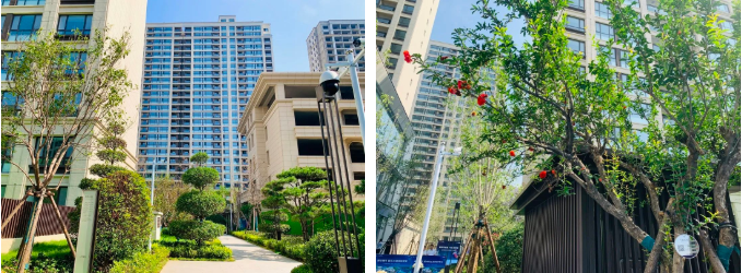 莱芜小区的内卷?凤栖台星际主题庭院大公开(图14)